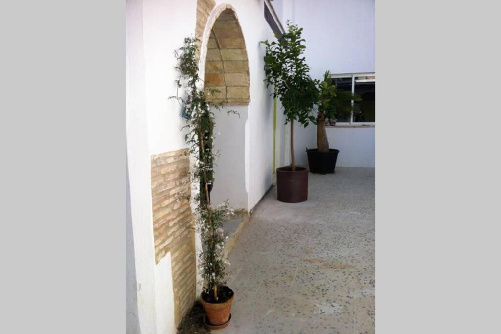 Appartement Casa Florinda #7 à Jerez de la Frontera Extérieur photo